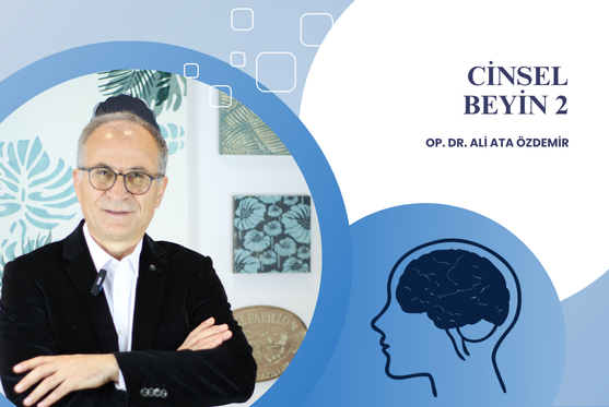 Op. Dr. Ali Ata Özdemir Cinsel Beyin-2